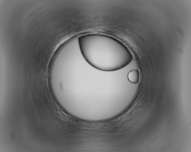 X0000113781308200909231033