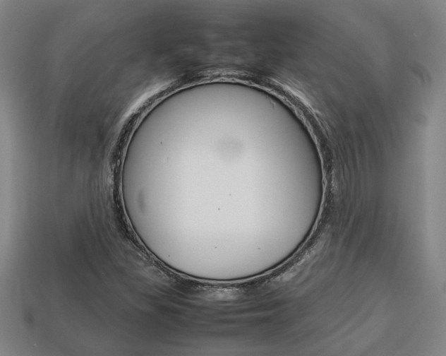 X0000113781309200909231033