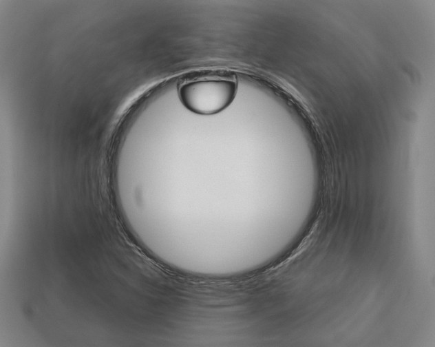 X0000113781310200909231033