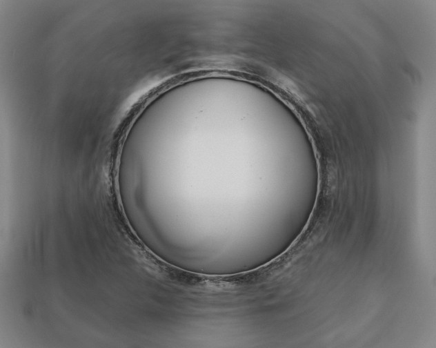 X0000113781312200909231033