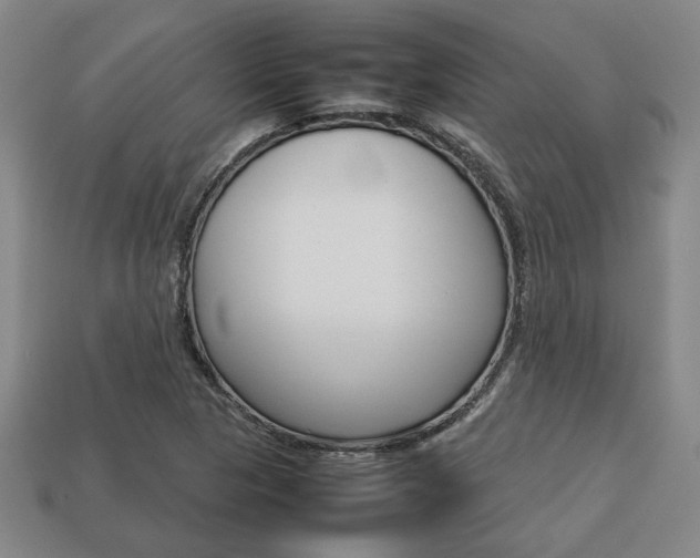 X0000113781313200909231033
