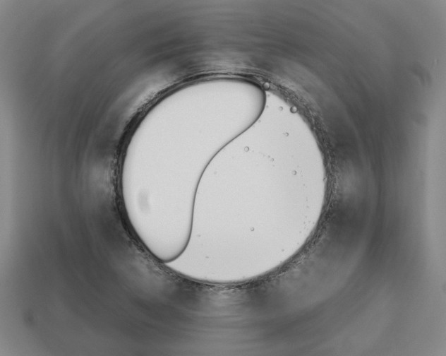 X0000113781314200909231033
