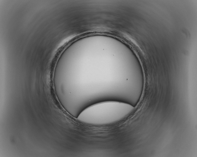 X0000113781315200909231033