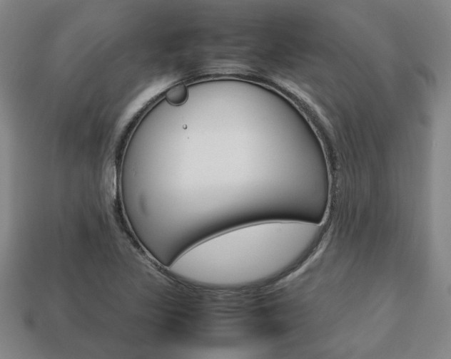 X0000113781317200909231033