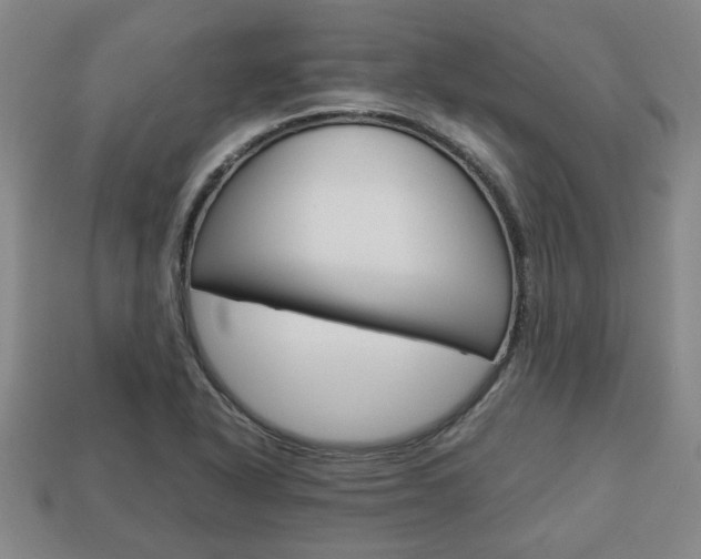 X0000113781318200909231033