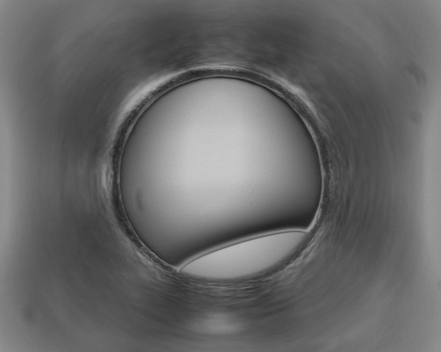 X0000113781319200909231033