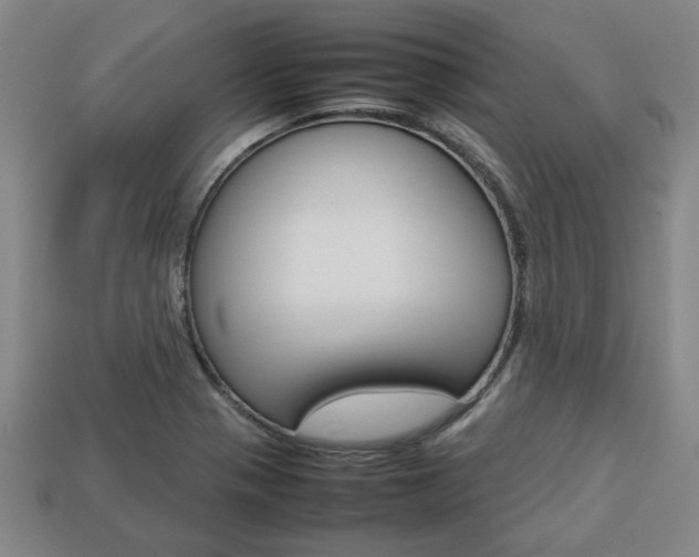 X0000113781321200909231033