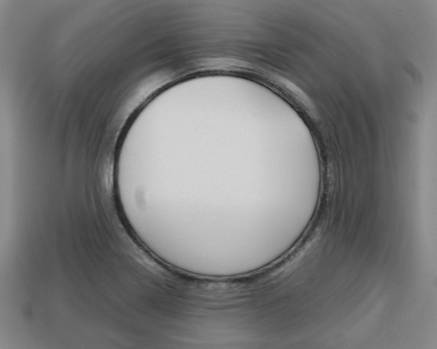 X0000113781322200909231033
