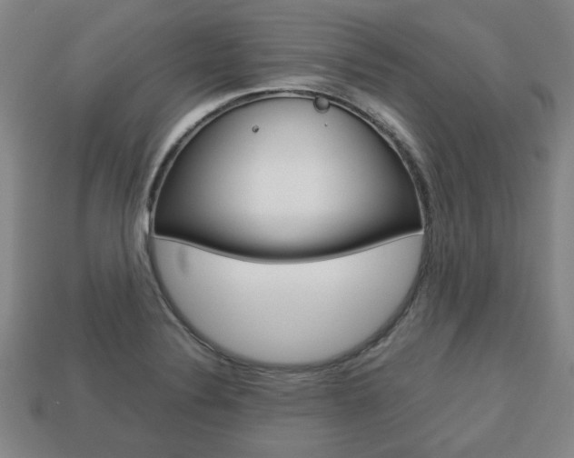 X0000113781324200909231033
