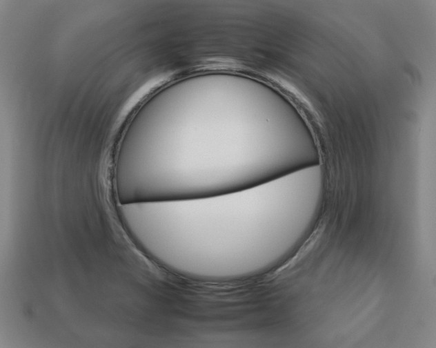 X0000113781325200909231033