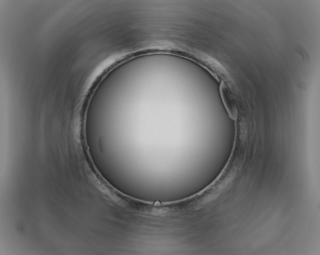 X0000113781326200909231033