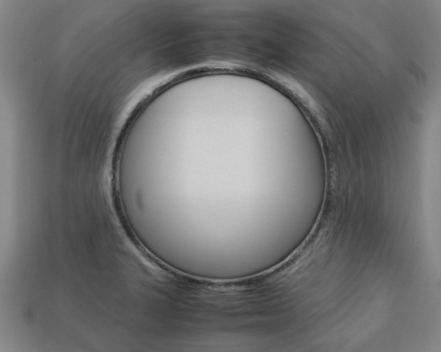 X0000113781327200909231033