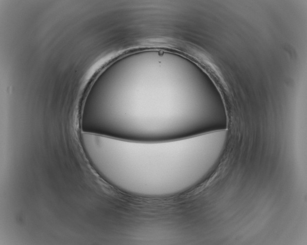 X0000113781328200909231033