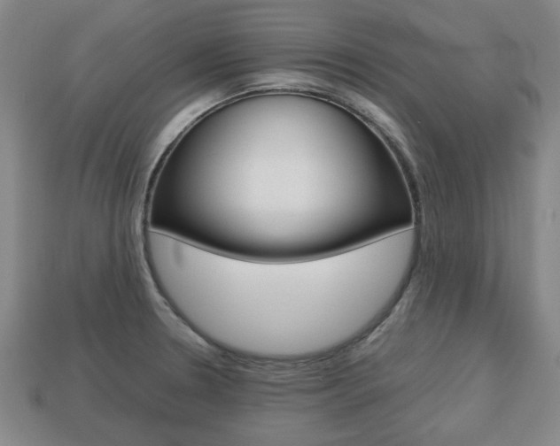 X0000113781330200909231033