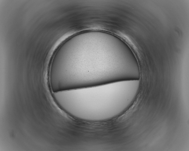 X0000113781331200909231033