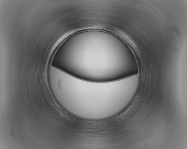X0000113781332200909231033