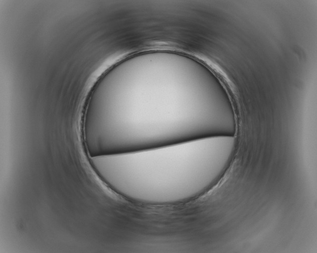 X0000113781333200909231033