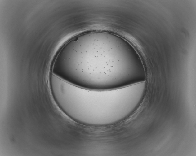 X0000113781334200909231033