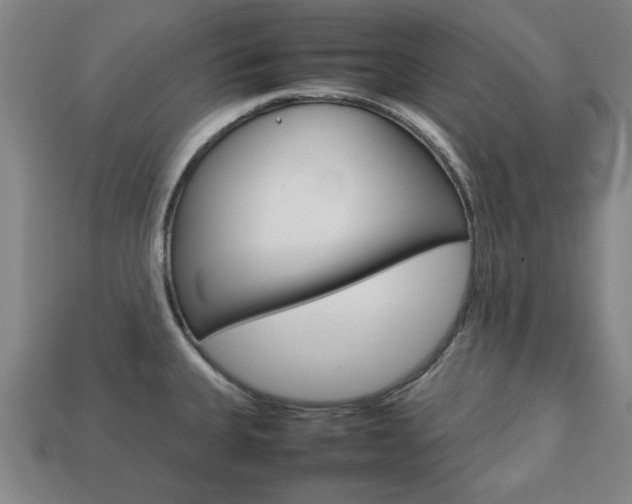 X0000113781335200909231033