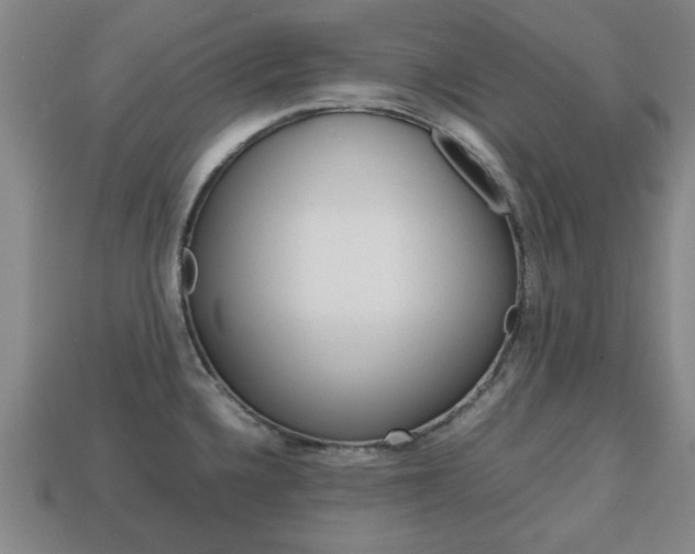 X0000113781336200909231033