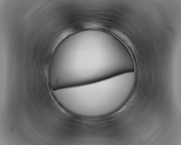 X0000113781337200909231033