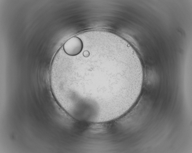 X0000113781338200909231033