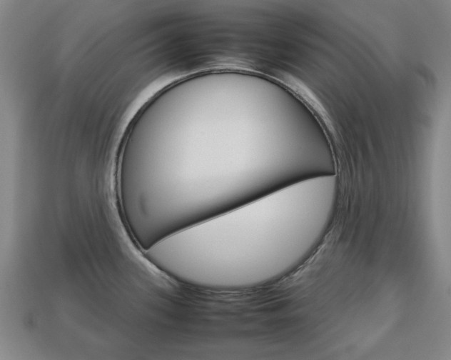 X0000113781339200909231033