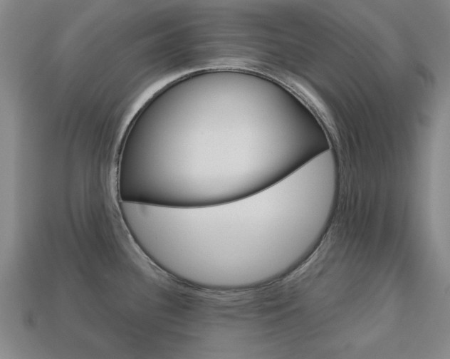 X0000113781340200909231033