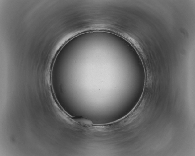 X0000113781342200909231033