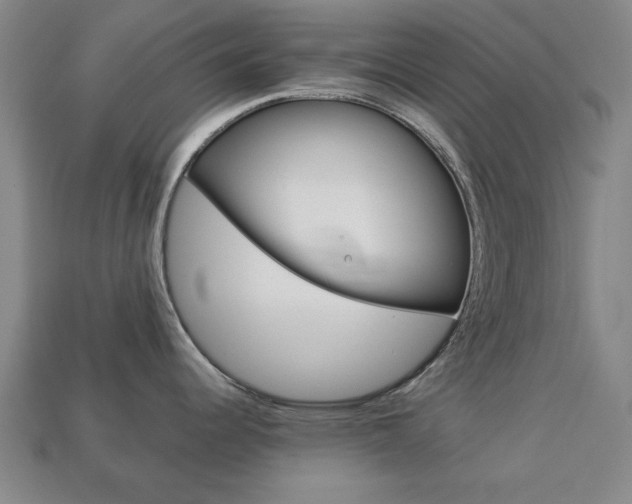 X0000113781344200909231033