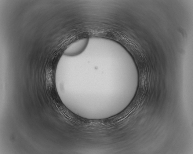 X0000113781346200909231032