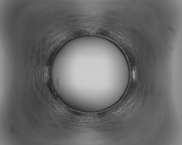 X0000113781347200909231032
