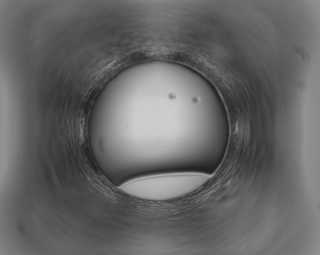 X0000113781348200909231032