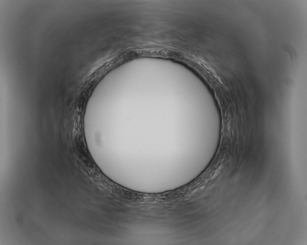 X0000113781350200909231032