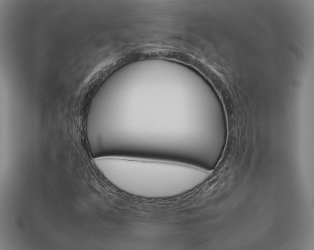 X0000113781351200909231032
