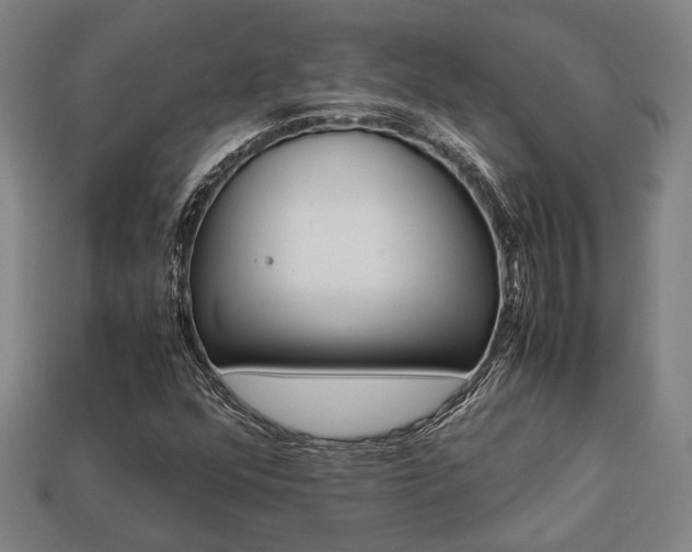 X0000113781352200909231032