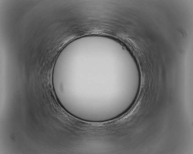 X0000113781353200909231032