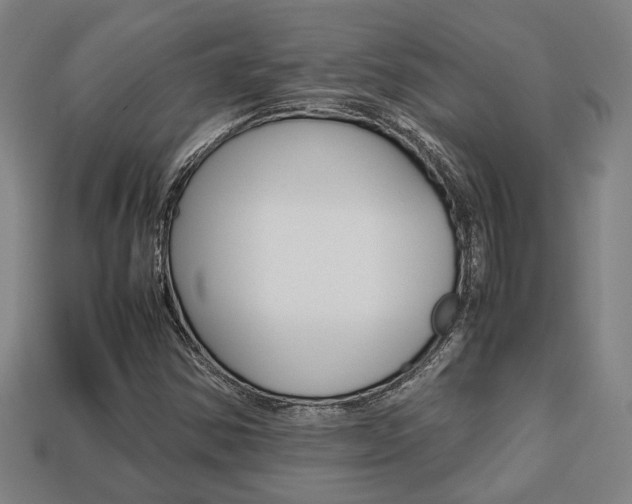 X0000113781354200909231032