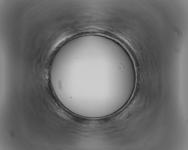 X0000113781355200909231032