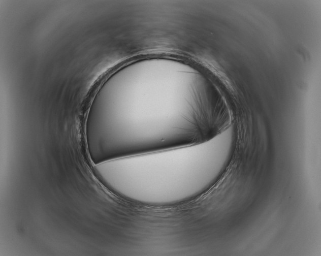 X0000113781356200909231032