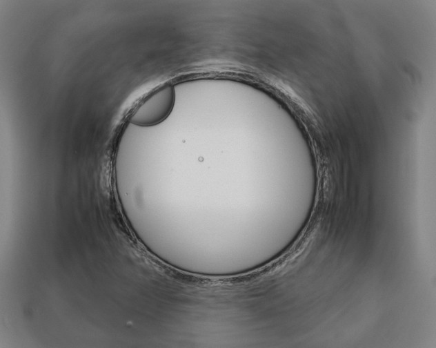 X0000113781358200909231032