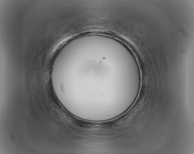 X0000113781359200909231032