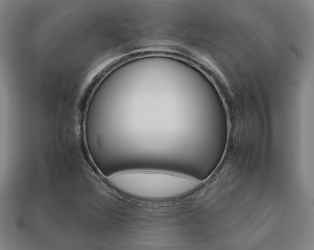 X0000113781360200909231032