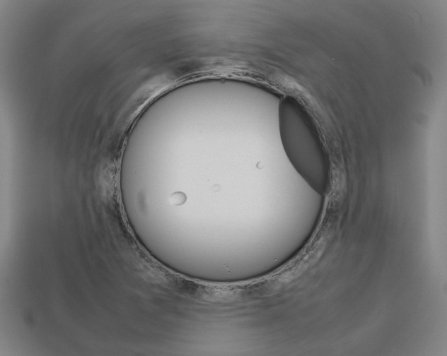 X0000113781361200909231032
