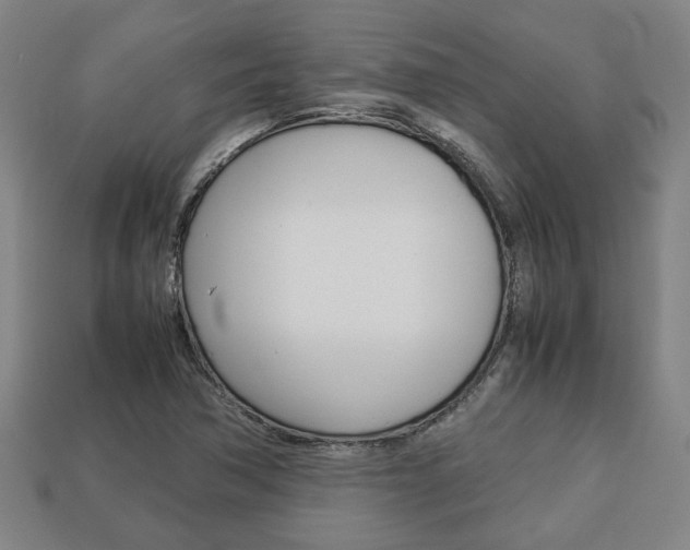 X0000113781362200909231032