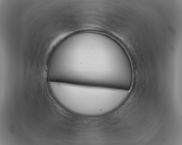 X0000113781363200909231032