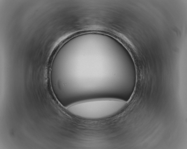 X0000113781364200909231032