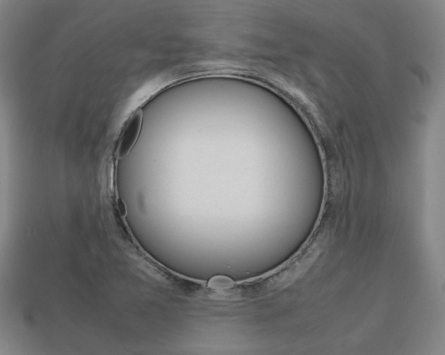 X0000113781365200909231032