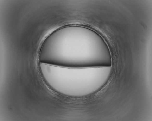 X0000113781367200909231032