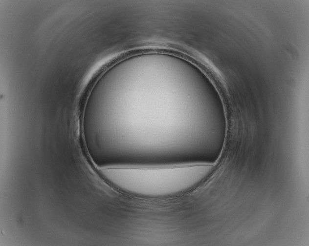 X0000113781368200909231032